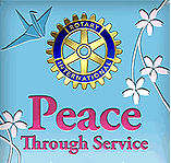 2012-2013Logo
